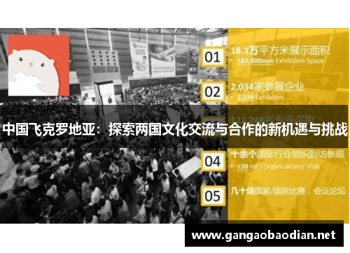 中国飞克罗地亚：探索两国文化交流与合作的新机遇与挑战